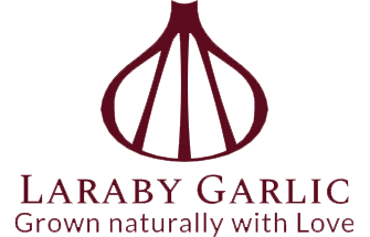 Laraby Garlic